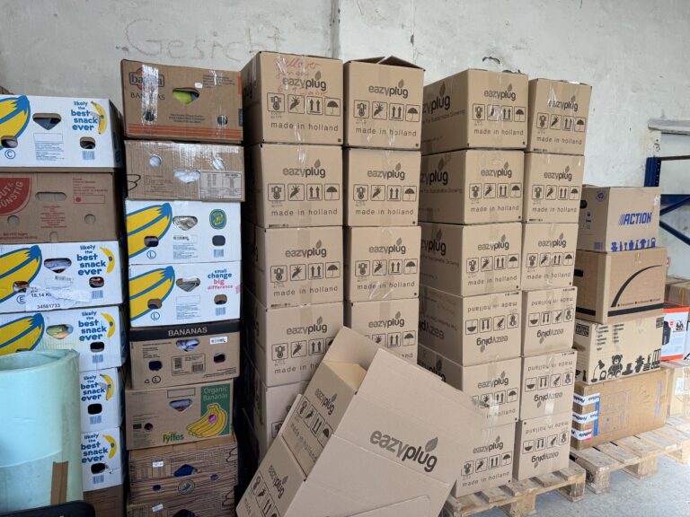 Bilder der Weihnachtsaktion 1